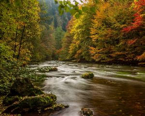 Preview wallpaper harz, germany, autumn, river, trees