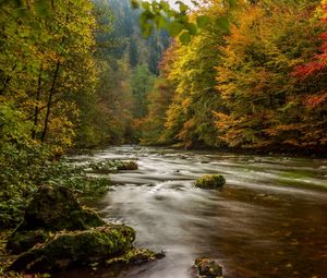 Preview wallpaper harz, germany, autumn, river, trees