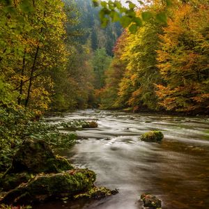 Preview wallpaper harz, germany, autumn, river, trees