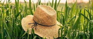Preview wallpaper hat, grass, ears, summer