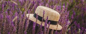 Preview wallpaper hat, lavender, flowers, wildflowers