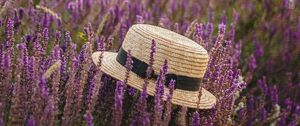 Preview wallpaper hat, lavender, flowers, wildflowers