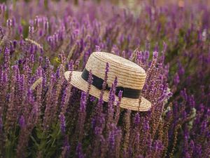 Preview wallpaper hat, lavender, flowers, wildflowers
