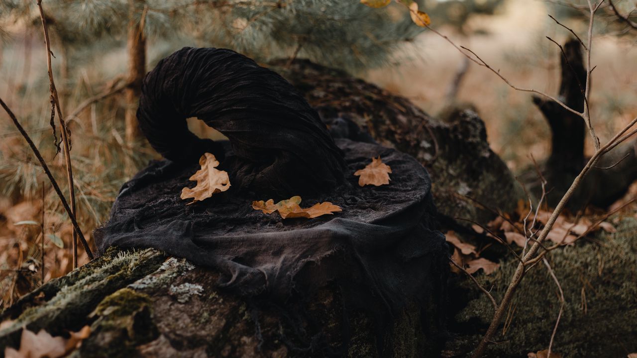 Wallpaper hat, witch, leaves, autumn, nature