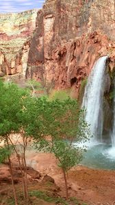 Preview wallpaper havasu falls, arizona, canyon, trees, greens