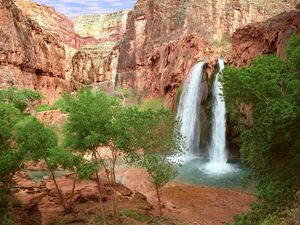 Preview wallpaper havasu falls, arizona, canyon, trees, greens