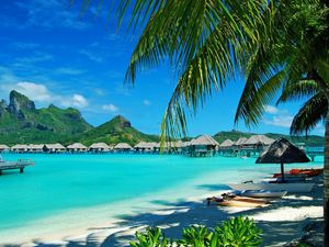 Preview wallpaper hawaii, coast, resort, rest, palm trees, lagoon, blue water