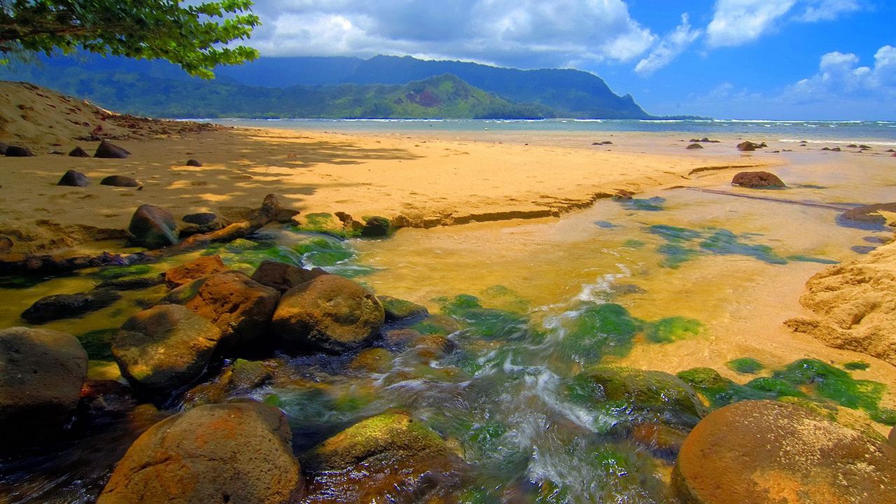 Wallpaper hawaii, day, sea, sand, stones
