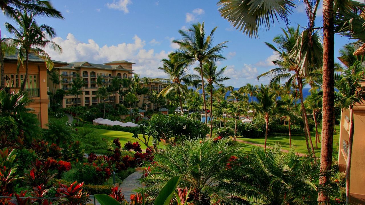 Wallpaper hawaii, hotel, palm trees, swimming pool, sea, flowers