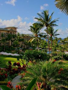 Preview wallpaper hawaii, hotel, palm trees, swimming pool, sea, flowers