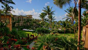 Preview wallpaper hawaii, hotel, palm trees, swimming pool, sea, flowers