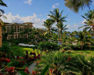 Preview wallpaper hawaii, hotel, palm trees, swimming pool, sea, flowers