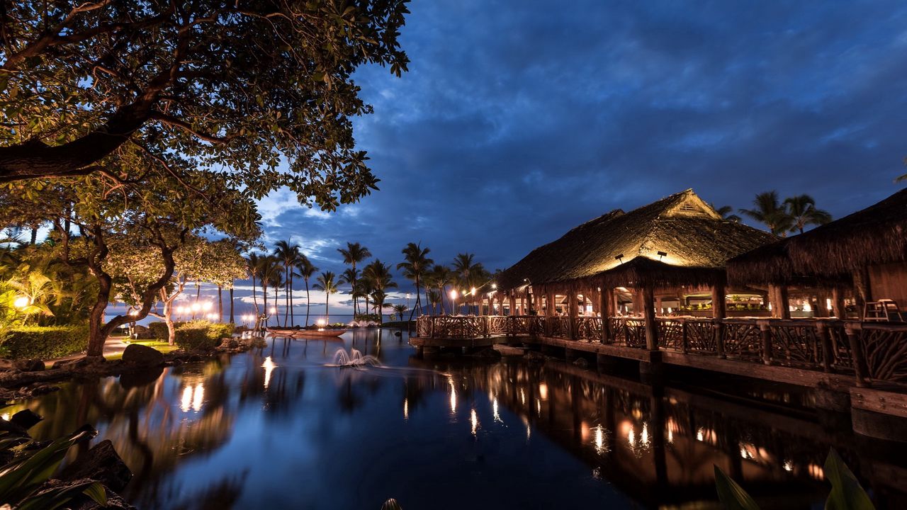 Wallpaper hawaii, light, sea, palm trees, night