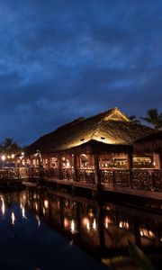 Preview wallpaper hawaii, light, sea, palm trees, night