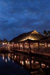 Preview wallpaper hawaii, light, sea, palm trees, night