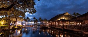 Preview wallpaper hawaii, light, sea, palm trees, night