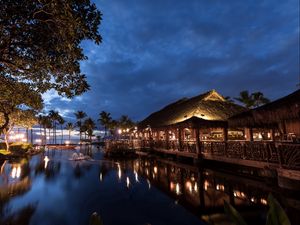 Preview wallpaper hawaii, light, sea, palm trees, night