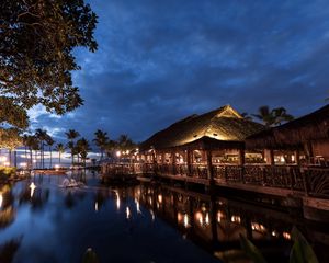 Preview wallpaper hawaii, light, sea, palm trees, night