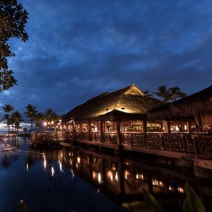 Preview wallpaper hawaii, light, sea, palm trees, night