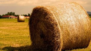 Preview wallpaper hay, agriculture, bales, gold, summer