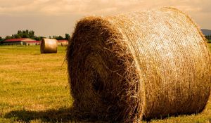 Preview wallpaper hay, agriculture, bales, gold, summer