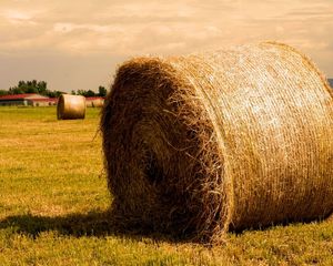 Preview wallpaper hay, agriculture, bales, gold, summer