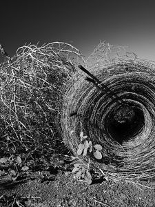 Preview wallpaper hay, bale, black-and-white