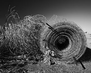 Preview wallpaper hay, bale, black-and-white