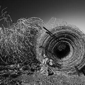 Preview wallpaper hay, bale, black-and-white
