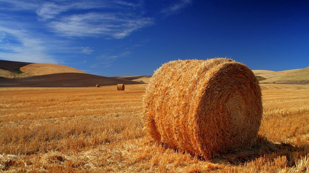 Wallpaper hay, bale, field, agriculture, straw