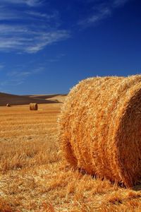 Preview wallpaper hay, bale, field, agriculture, straw