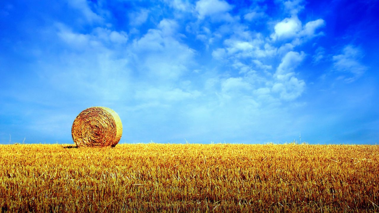 Wallpaper hay, bale, rick, field, horizon