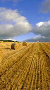 Preview wallpaper hay, bales, agriculture, summer