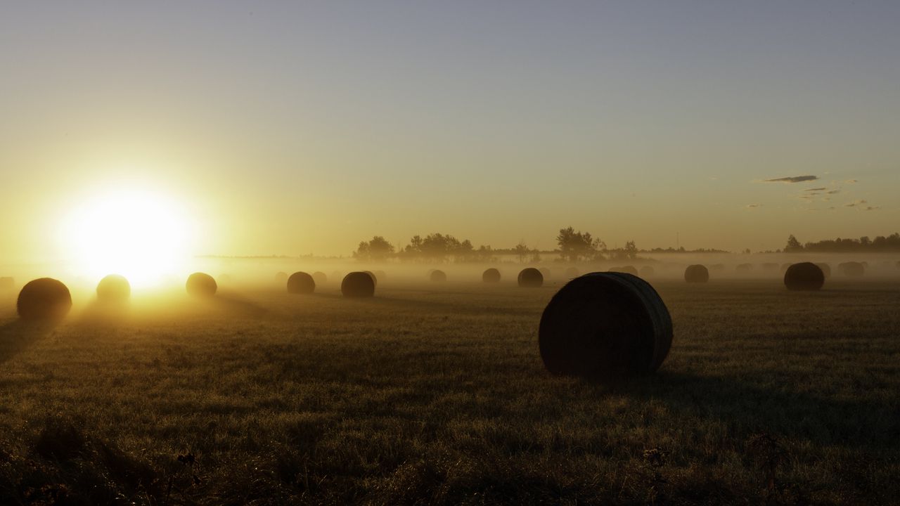 Wallpaper hay, field, fog, sunset, nature