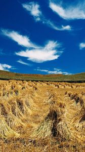 Preview wallpaper hay, sheaves, summer, agriculture