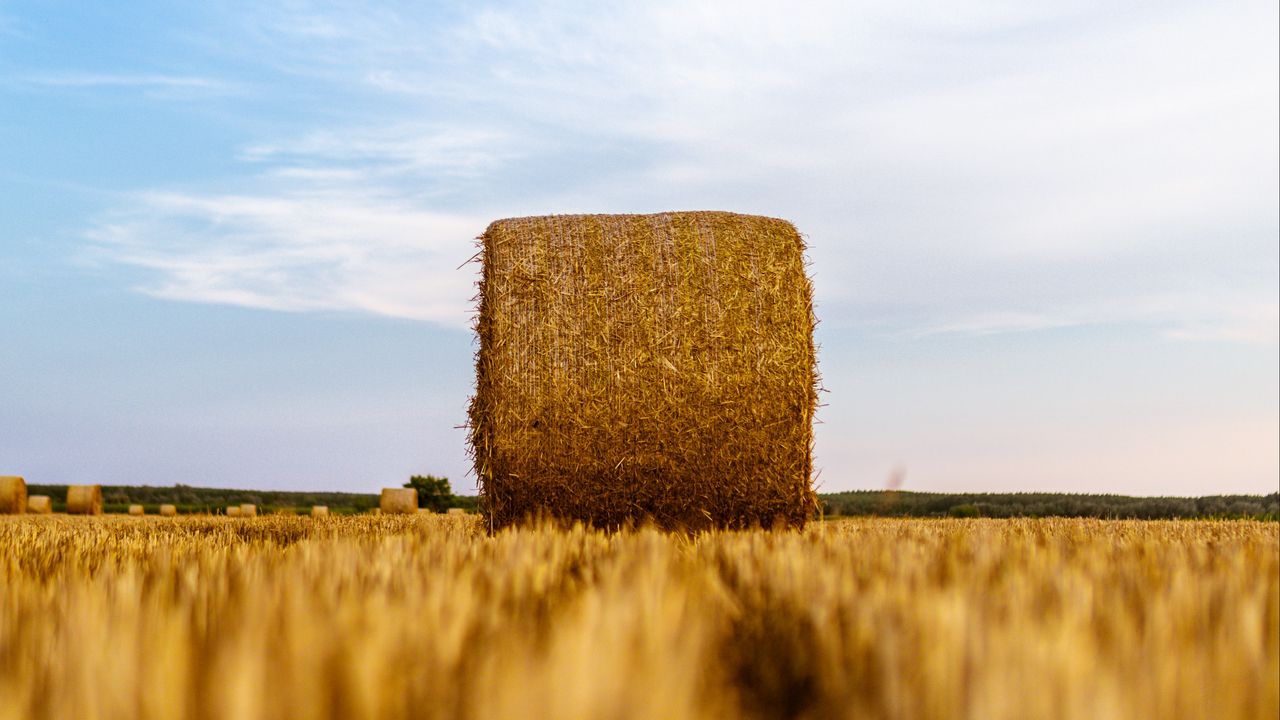 Wallpaper haystack, field, wheat, hay, dry