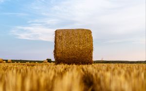 Preview wallpaper haystack, field, wheat, hay, dry