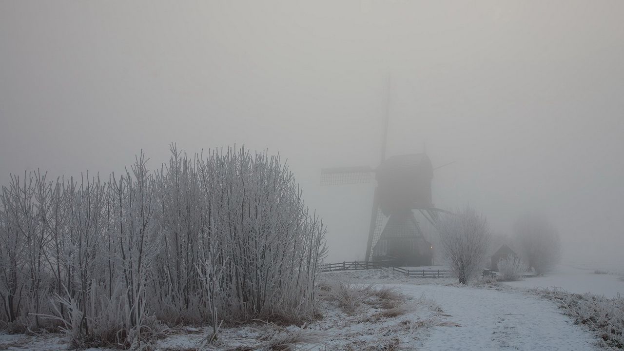 Wallpaper haze, fog, winter, mill, bushes, snow, hoarfrost