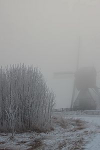 Preview wallpaper haze, fog, winter, mill, bushes, snow, hoarfrost