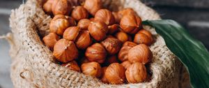 Preview wallpaper hazelnuts, nuts, shells, bag
