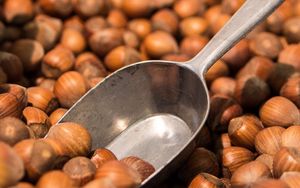 Preview wallpaper hazelnuts, scoop, lot