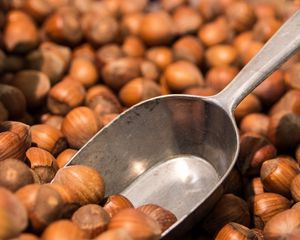 Preview wallpaper hazelnuts, scoop, lot