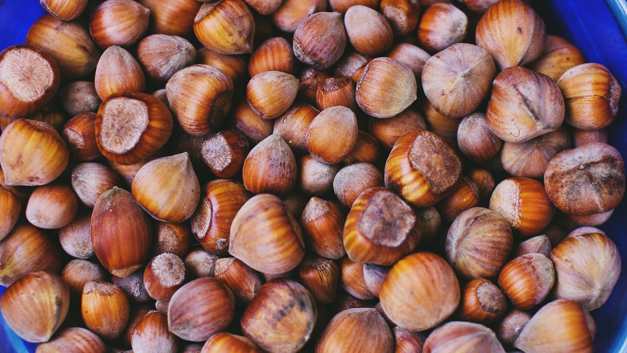 Wallpaper hazelnuts, walnuts, shell