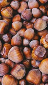 Preview wallpaper hazelnuts, walnuts, shell