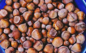 Preview wallpaper hazelnuts, walnuts, shell