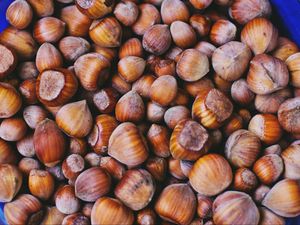 Preview wallpaper hazelnuts, walnuts, shell