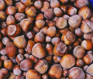 Preview wallpaper hazelnuts, walnuts, shell