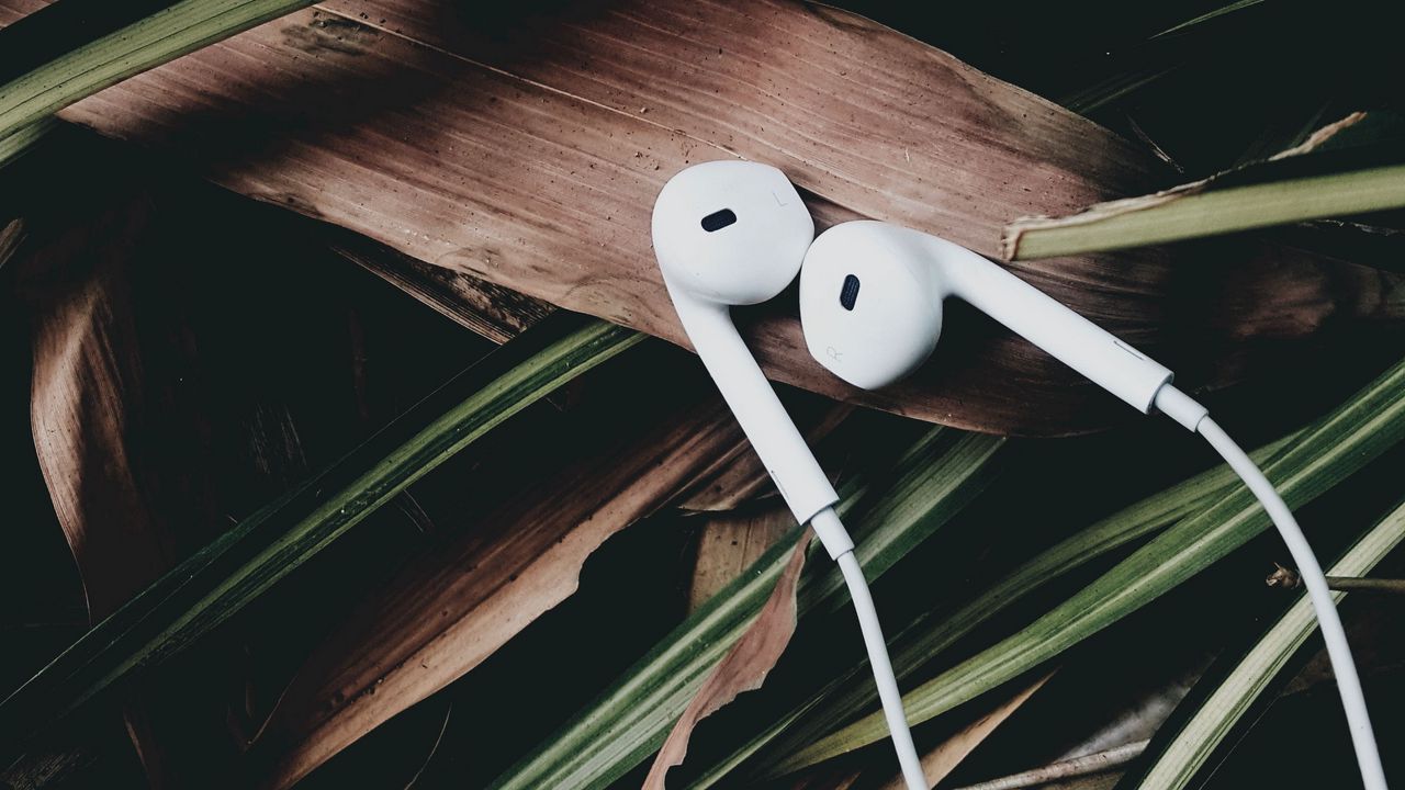 Wallpaper headphones, music, audio, leaves