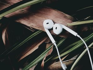 Preview wallpaper headphones, music, audio, leaves