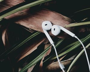 Preview wallpaper headphones, music, audio, leaves